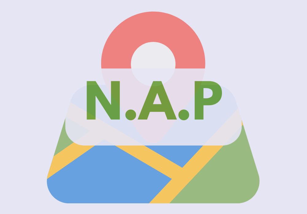 nap ficha de empresa