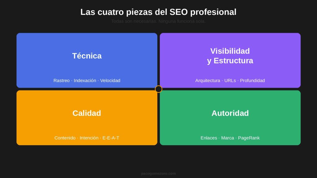 SEO profesional 